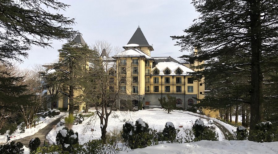 A luxurious mountain resort offering elegant rooms, spa facilities, and breathtaking Himalayan views.